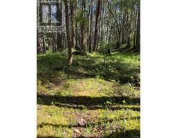 Lot 36 Ruxton Island, Ruxton Island, BC V0V0V0 Photo 4