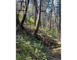 Lot 36 Ruxton Island, Ruxton Island, BC V0V0V0 Photo 3