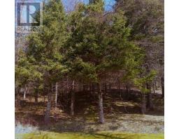 16 Tom Sawyer Lane, Juniper Mountain, NS B1K0C2 Photo 3