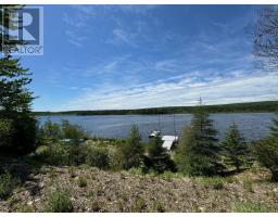 16 Tom Sawyer Lane, Juniper Mountain, NS B1K0C2 Photo 4