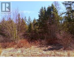 16 Tom Sawyer Lane, Juniper Mountain, NS B1K0C2 Photo 5