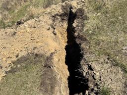 38067 172 W Road, Reston, MB R0M1X0 Photo 5