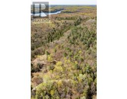 1667 Paint Lake Road, Lake Of Bays, ON P0A1E0 Photo 3