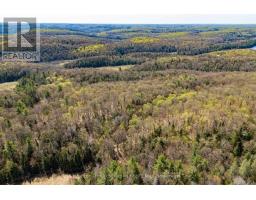 1667 Paint Lake Road, Lake Of Bays, ON P0A1E0 Photo 4