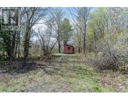 1667 Paint Lake Road, Lake Of Bays, ON P0A1E0 Photo 5