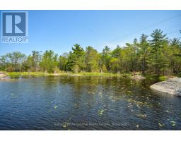 4648 Is 2190 Georgian Bay, Georgian Bay, ON P0C1H0 Photo 2