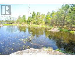 4648 Is 2190 Georgian Bay, Georgian Bay, ON P0C1H0 Photo 5