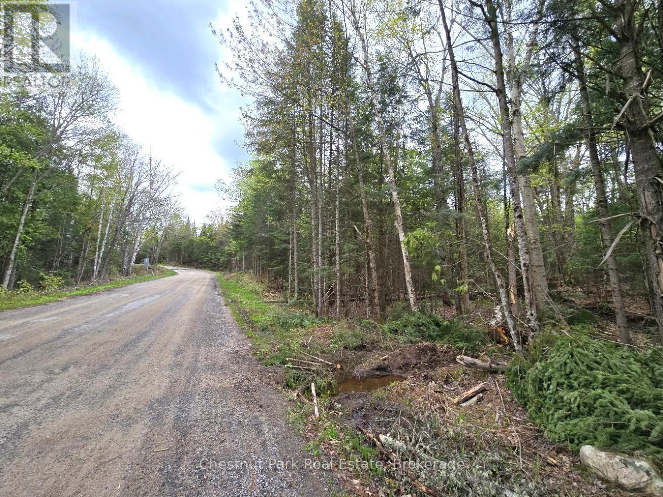 1341 Echo Ridge Road