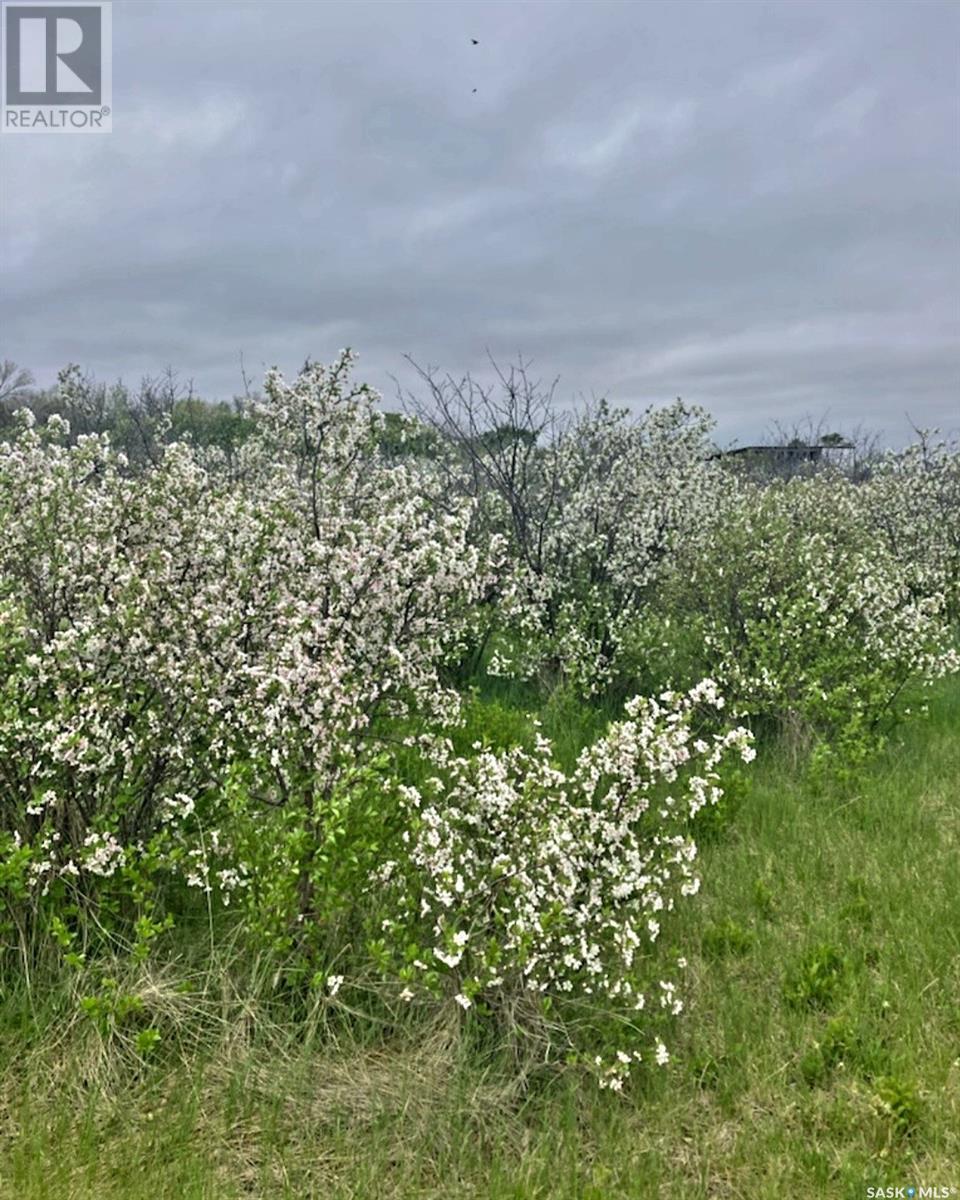 40 Acres
