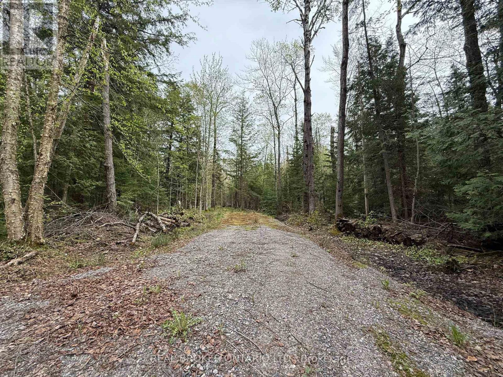 0 Bear Cave Road