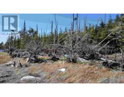 No 7 Highway, Ecum Secum, NS B0H2G0 Photo 4