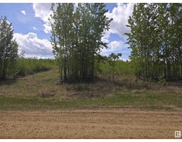 Lot 1 Plan 2221652 Southshore Dr E, Rural Lesser Slave River Md, AB T0G0M0 Photo 3