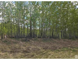 Lot 1 Plan 2221652 Southshore Dr E, Rural Lesser Slave River Md, AB T0G0M0 Photo 4