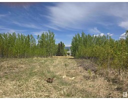 Lot 1 Plan 2221652 Southshore Dr E, Rural Lesser Slave River Md, AB T0G0M0 Photo 5