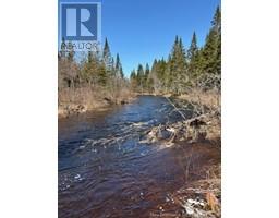 75 Pomeroy Ridge Road, Pomeroy Ridge, NB E3L5L9 Photo 3