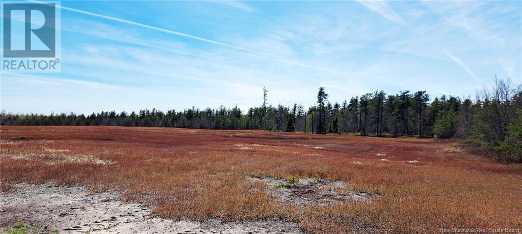 29 Acres Ch Adelard Road
