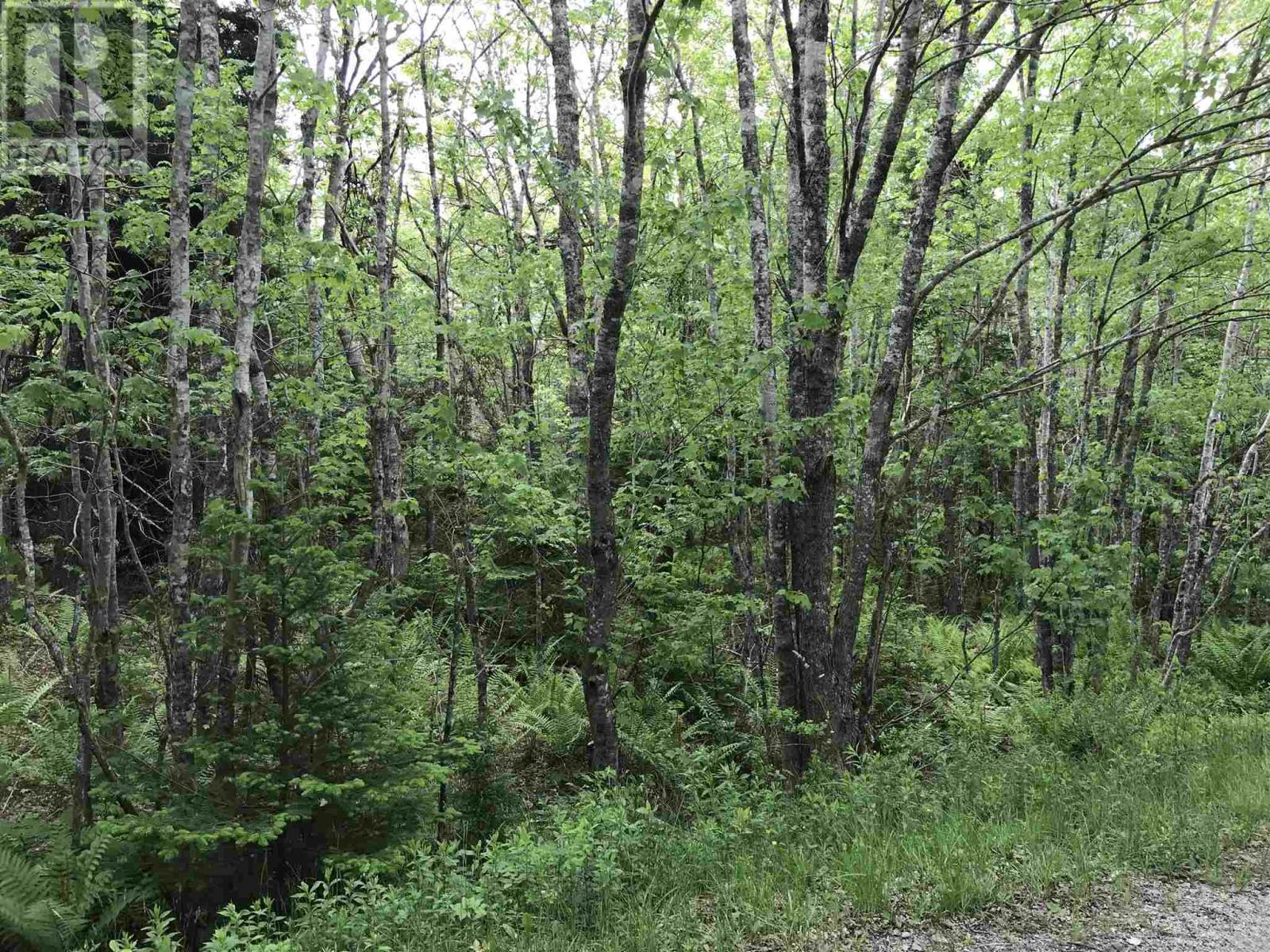 53 03 Acres Highway 308 Highway