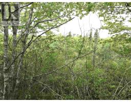 53 03 Acres Highway 308 Highway, Belleville, NS B0W3M0 Photo 5