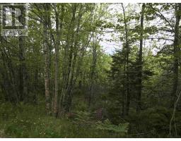 53 03 Acres Highway 308 Highway, Belleville, NS B0W3M0 Photo 4