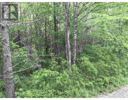 53 03 Acres Highway 308 Highway, Belleville, NS B0W3M0 Photo 3