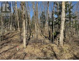 Con 1 Pt Lot 12 Barlochan Road, Muskoka Lakes, ON P1P1R2 Photo 4