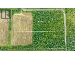 119 Christopher Road, Stone Mills, ON K0K1Z0 Photo 3