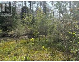 147 So Ho Mish Road, Perry, ON P0A1L0 Photo 4