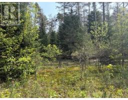 147 So Ho Mish Road, Perry, ON P0A1L0 Photo 3