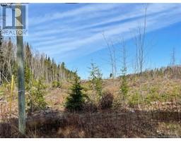 Semiwagan Road, Barnaby, NB E1N6E5 Photo 2