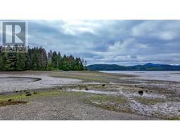 Pantry - Lot 3 Robertson Island, Daajing Giids Rural, BC V0T1S0 Photo 5