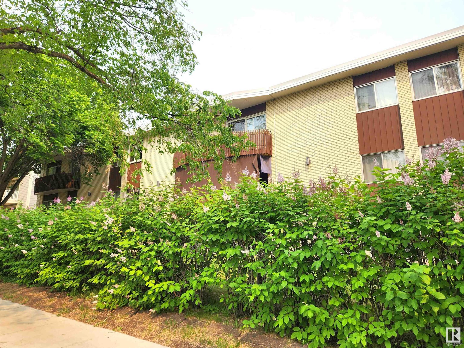 305 11907 81 St Nw