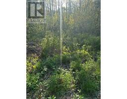 Highfield Road, Pearsonville, NB E5P1T2 Photo 3