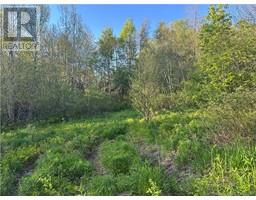 Highfield Road, Pearsonville, NB E5P1T2 Photo 4