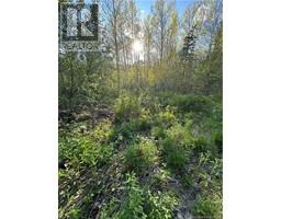 Highfield Road, Pearsonville, NB E5P1T2 Photo 2