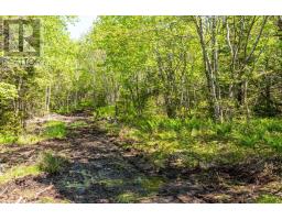 Lot 101 Highway, Woodvale, NS B5A5B1 Photo 4