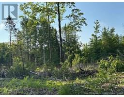 000 Upper Tower Hill Road, Tower Hill, NB E5A2P3 Photo 5