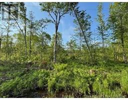 000 Upper Tower Hill Road, Tower Hill, NB E5A2P3 Photo 3