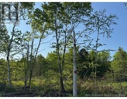 000 Upper Tower Hill Road, Tower Hill, NB E5A2P3 Photo 4