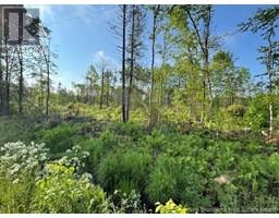 000 Upper Tower Hill Road, Tower Hill, NB E5A2P3 Photo 2