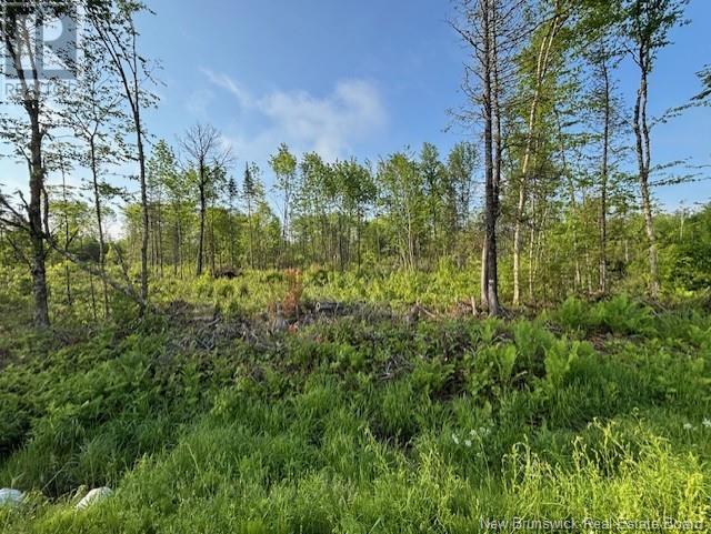 000 Upper Tower Hill Road