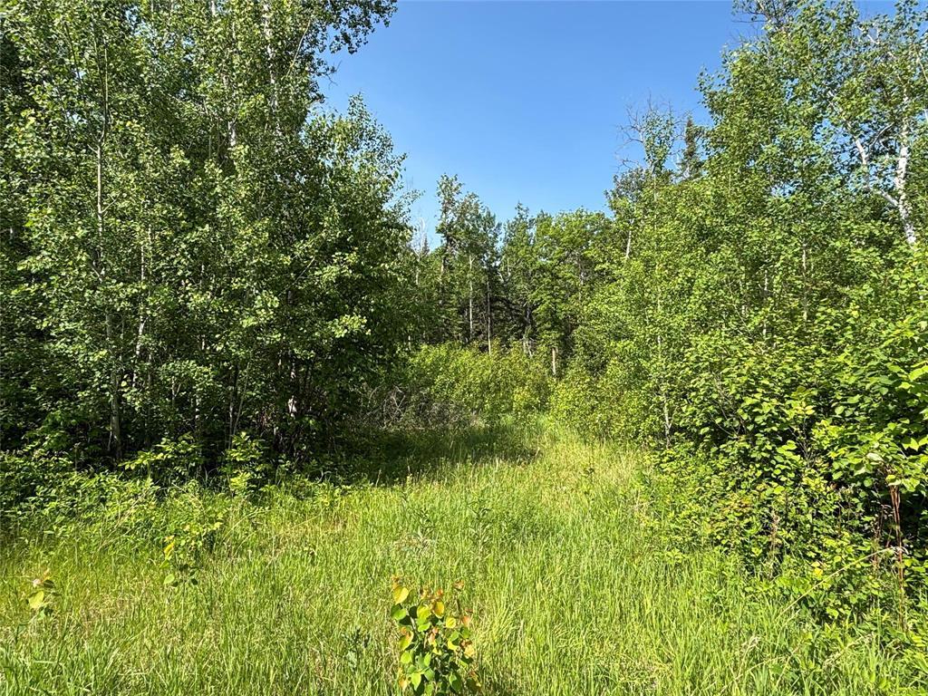 23 Birch Haven