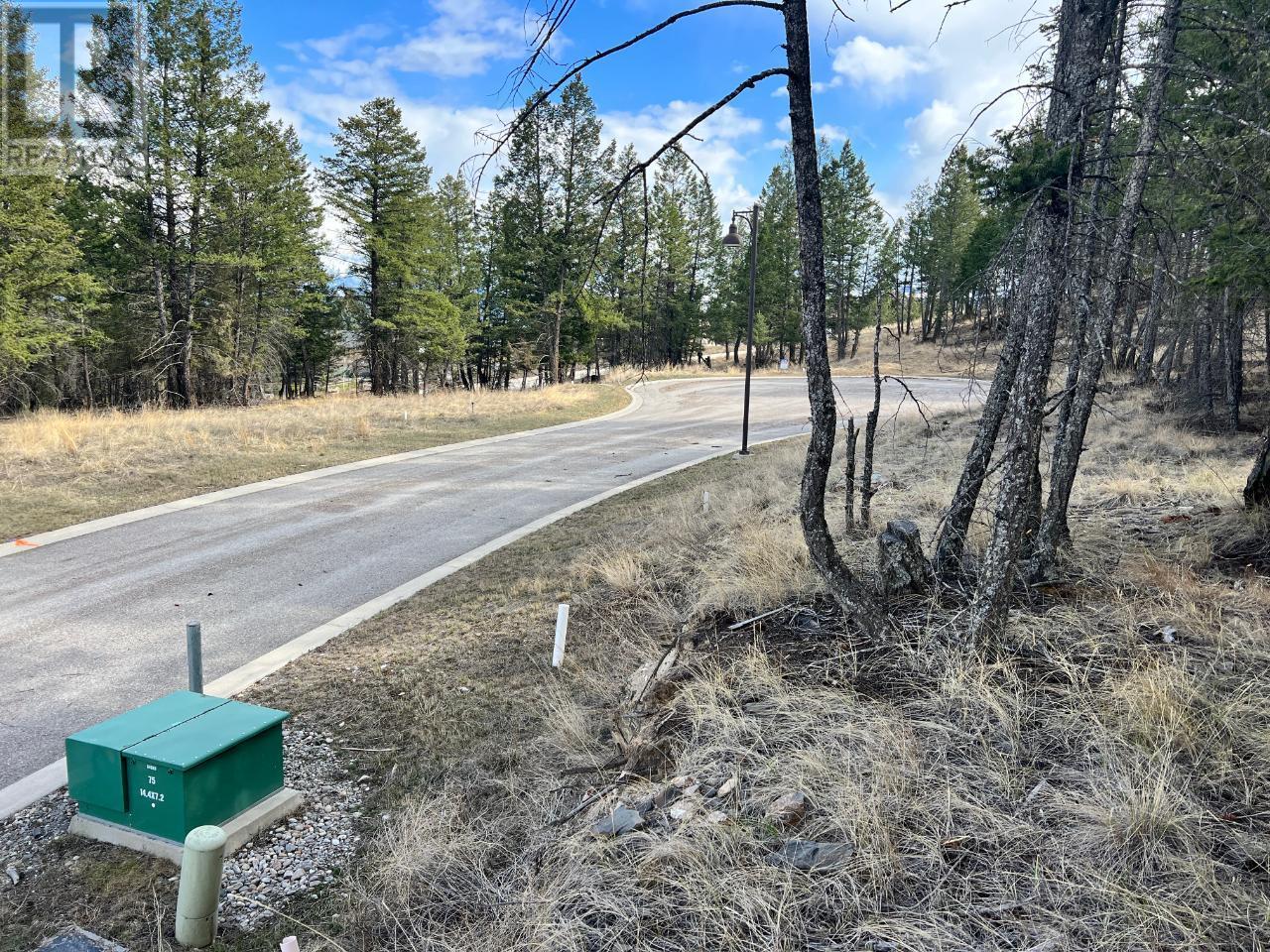 Lot 48 Pine Ridge Mountain Lane
