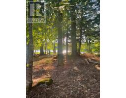Lot 26 Maplesue Point Drive, Molega, NS B0T1X0 Photo 5