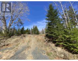 226 Brookville Branch Road, Bridgeville, NS B2H5C7 Photo 3