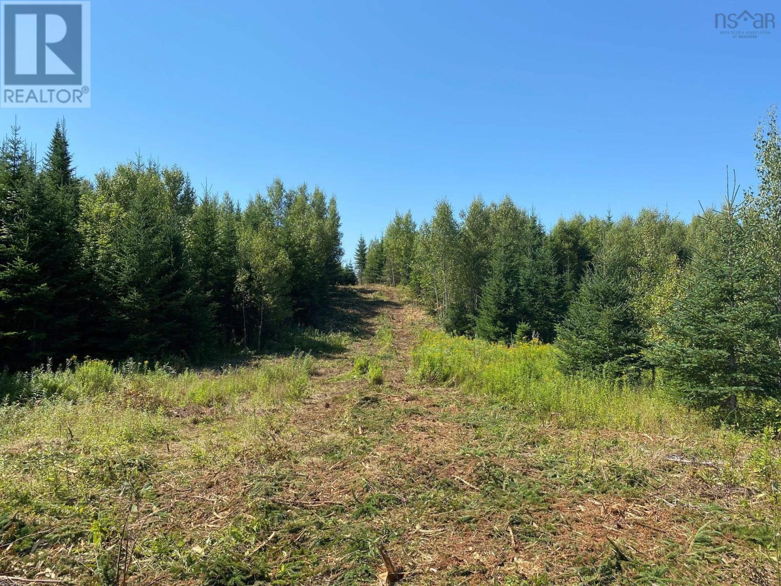 226 Brookville Branch Road