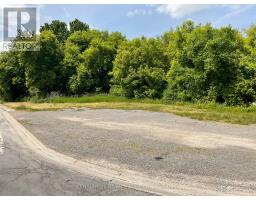 354 County Rd 16 Road, Elizabethtownkitley, ON K0G1G0 Photo 3