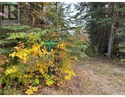 1301 Laurie Place, Paddockwood Rm No 520, SK S0J0N0 Photo 4