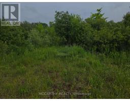 201 Con 2 Swtsr, Southgate, ON N0C1B0 Photo 5