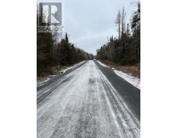 Mosher Road, Rhines Creek, NS B0N2H0 Photo 3
