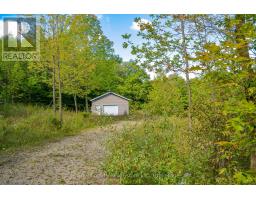 396436 Concession 2, Chatsworth, ON N0H1G0 Photo 4